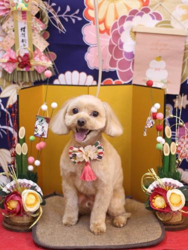 20240123ショコラくん